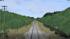 LBE 03 | L�beck B�chener Eisenbahn  im EEP-Shop kaufen